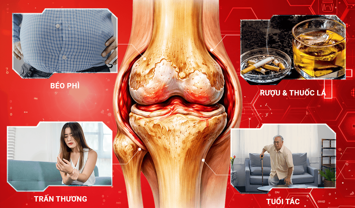 anh 2 1 - Sản phẩm được bán bởi Gimedi Pharma