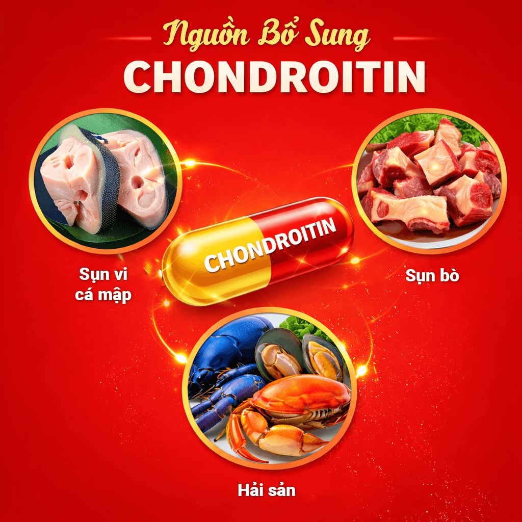 Chondroitin là gì? Vì sao thường đi cùng Glucosamine trong sản phẩm xương khớp? 4 - Gimedi Pharma anh 2 2 1 - Sản phẩm được bán bởi Gimedi Pharma