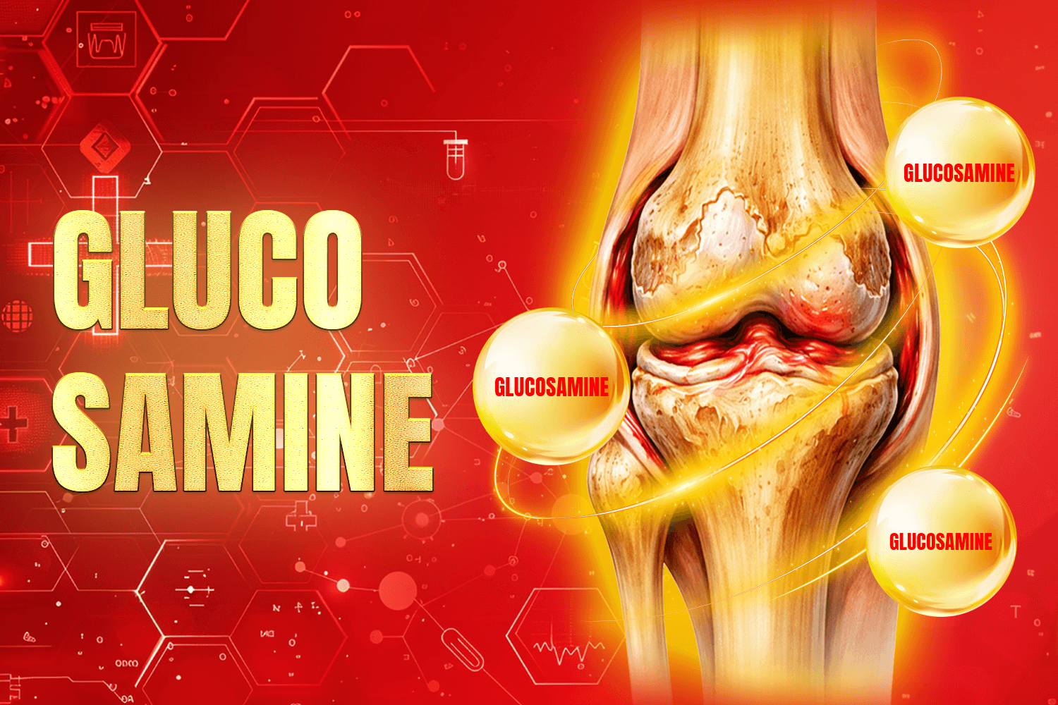 Glucosamine là gì? Vì sao được dùng nhiều trong sản phẩm xương khớp? 1 - Gimedi Pharma anh 3 1 - Sản phẩm được bán bởi Gimedi Pharma