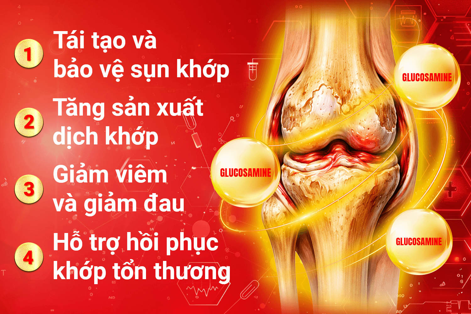 Glucosamine là gì? Vì sao được dùng nhiều trong sản phẩm xương khớp? 2 - Gimedi Pharma anh 4 1 - Sản phẩm được bán bởi Gimedi Pharma