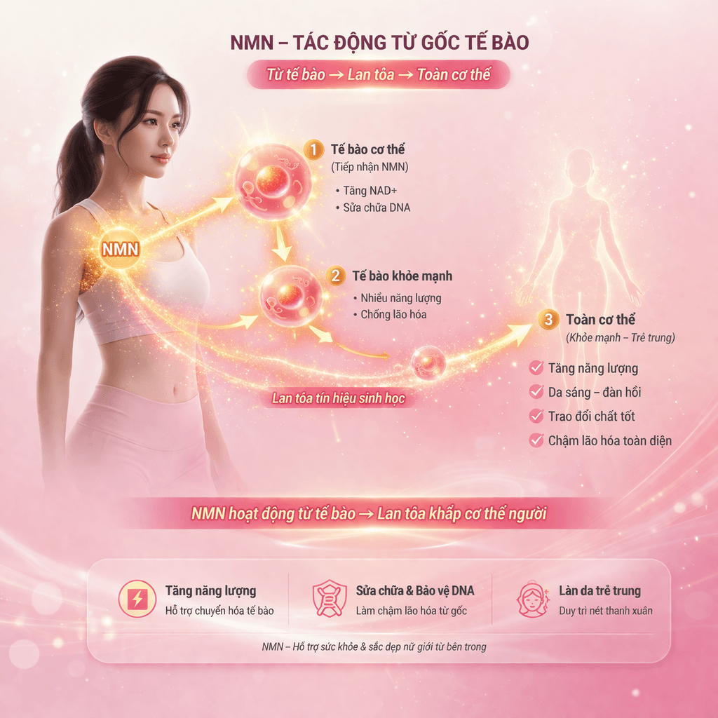 content 2 anh 4 1 - Sản phẩm được bán bởi Gimedi Pharma