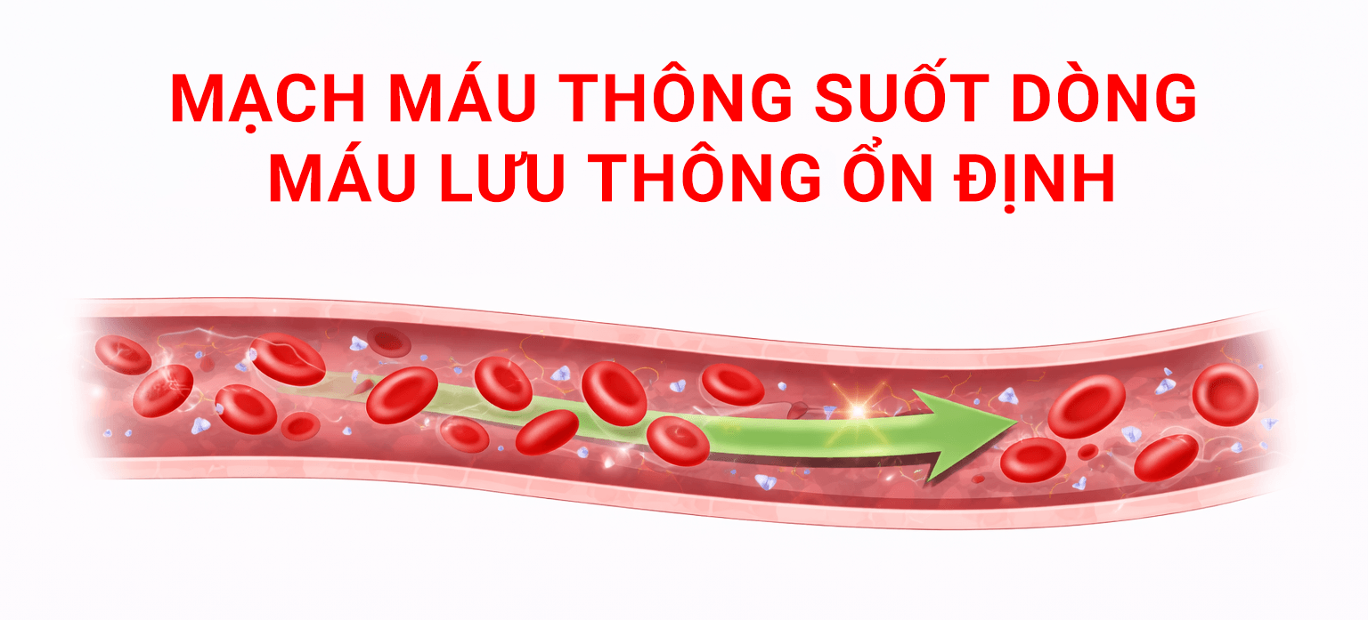 mach mau thong suot voi dong mau luu thong on dinh 1 - Sản phẩm được bán bởi Gimedi Pharma