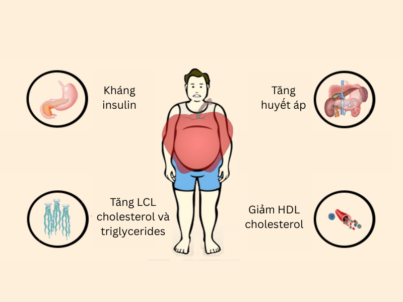 minh hoa mo bung 1 - Sản phẩm được bán bởi Gimedi Pharma