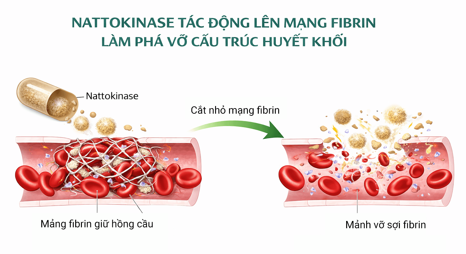 nattokinase tac dong 1 - Sản phẩm được bán bởi Gimedi Pharma