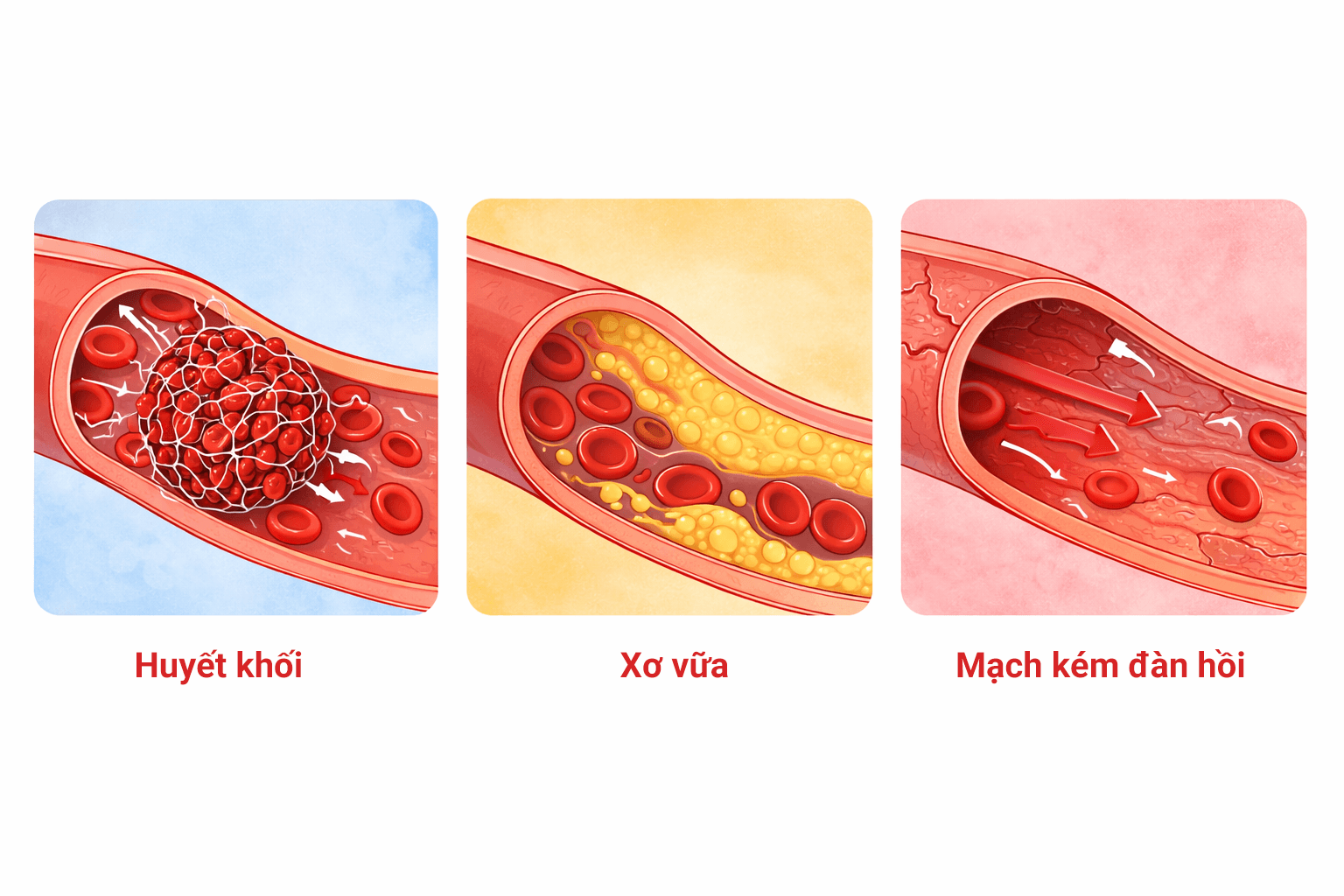 tong hop 3 tinh trang 1 - Sản phẩm được bán bởi Gimedi Pharma