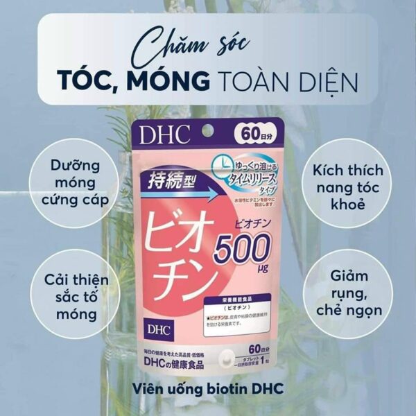 Viên uống DHC biotin hỗ trợ mọc tóc 30 ngày