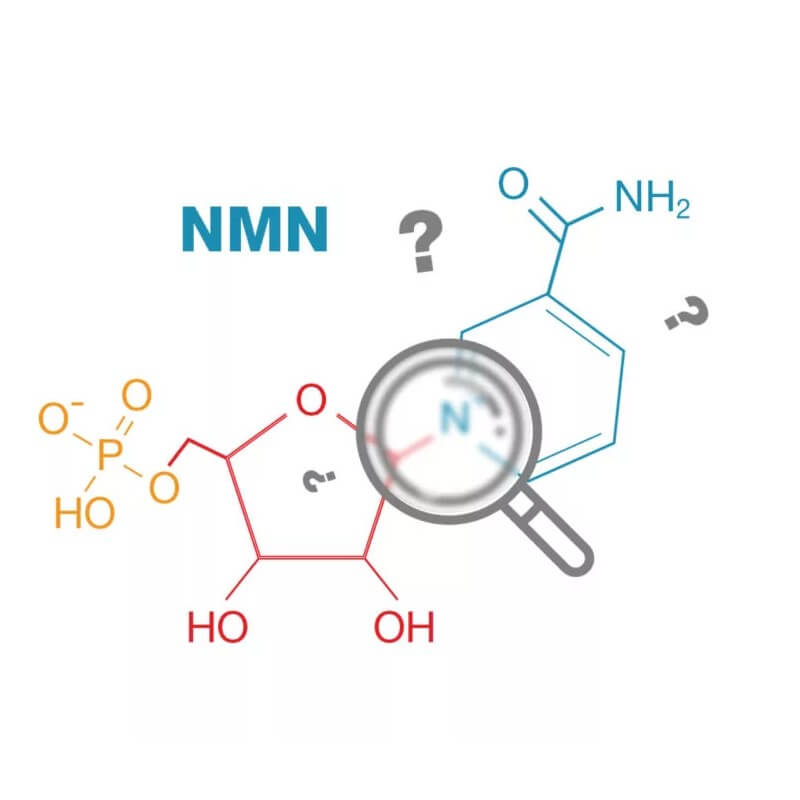 nmn la gi 1 - Sản phẩm được bán bởi Gimedi Pharma