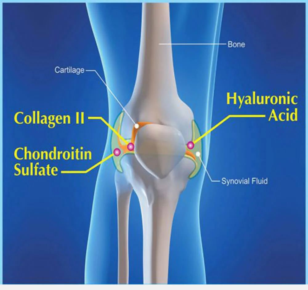 super glucosamine DX.jpg - Sản phẩm được bán bởi Gimedi Pharma