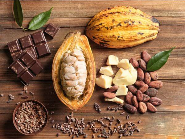 bo cacao - Sản phẩm được bán bởi Gimedi Pharma