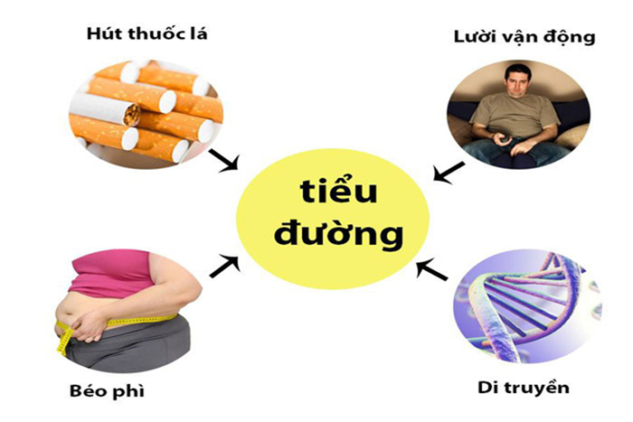 Nguyên nhân gây ra bệnh tiểu đường