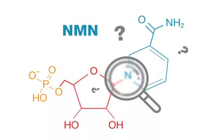 NMN là gì?