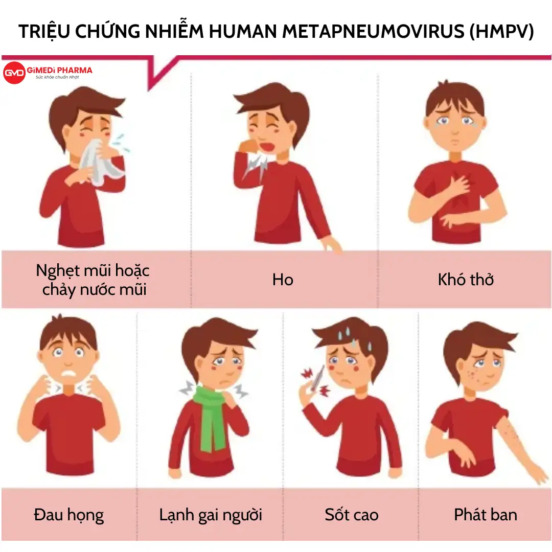 HUMAN METAPNEUMOVIRUS (HMPV): ĐÃ XUẤT HIỆN CA NHIỄM BỆNH Ở TRUNG QUỐC VÀ ẤN ĐỘ, CÓ THỂ LOÀI NGƯỜI ĐÃ CHUNG SỐNG VỚI NÓ TRONG NHIỀU THẬP KỶ
