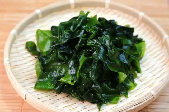 rong biển nhật rong biển nhật