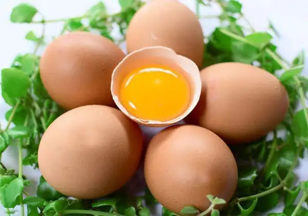 6 cách chế biến trứng gà