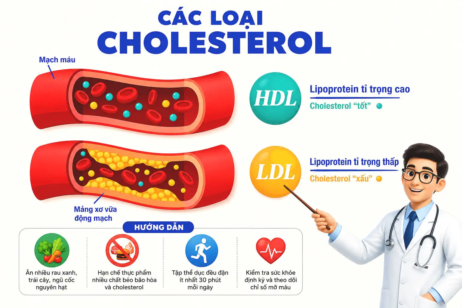 Triglyceride khác cholesterol như thế nào?