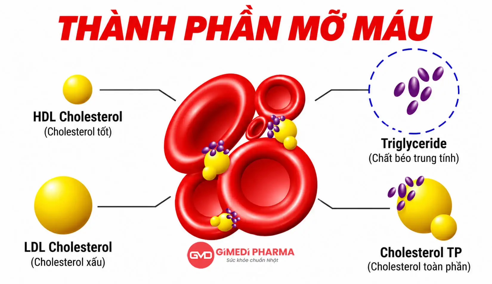 thành phần mỡ máu (1)
